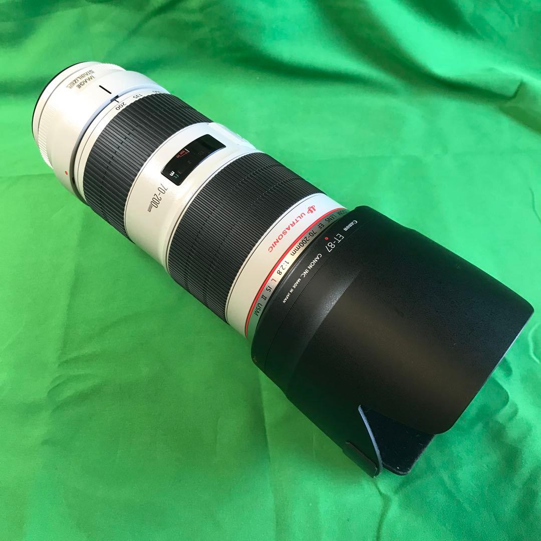 Canon EF70-200mm f/2.8L IS Ⅱ USM