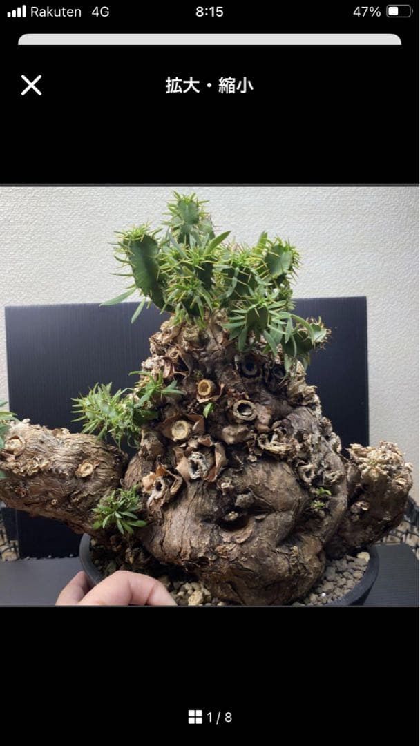 Junichi様用ページ