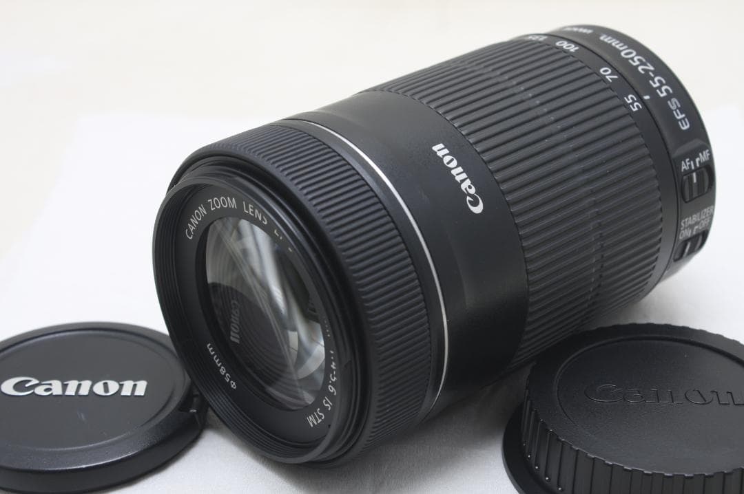 キヤノン EF-S 55-250mm F4-5.6 IS STM 6873