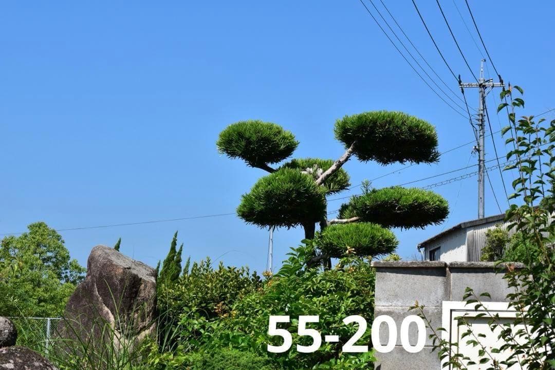 【ショット数僅少】Nikon D5600★WiFi搭載◎ダブルレンズ付