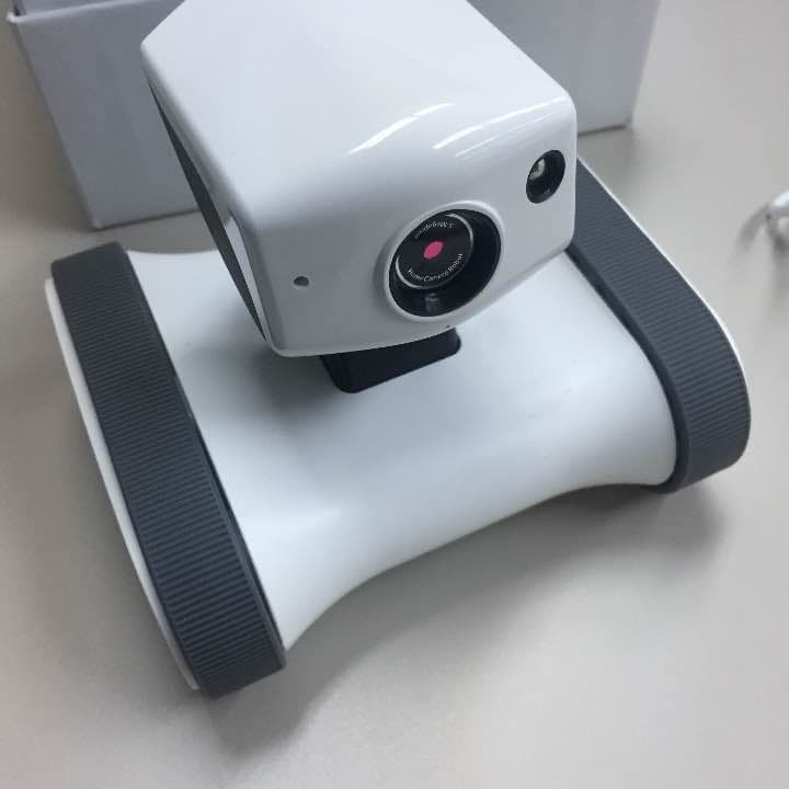 アボット ライリー