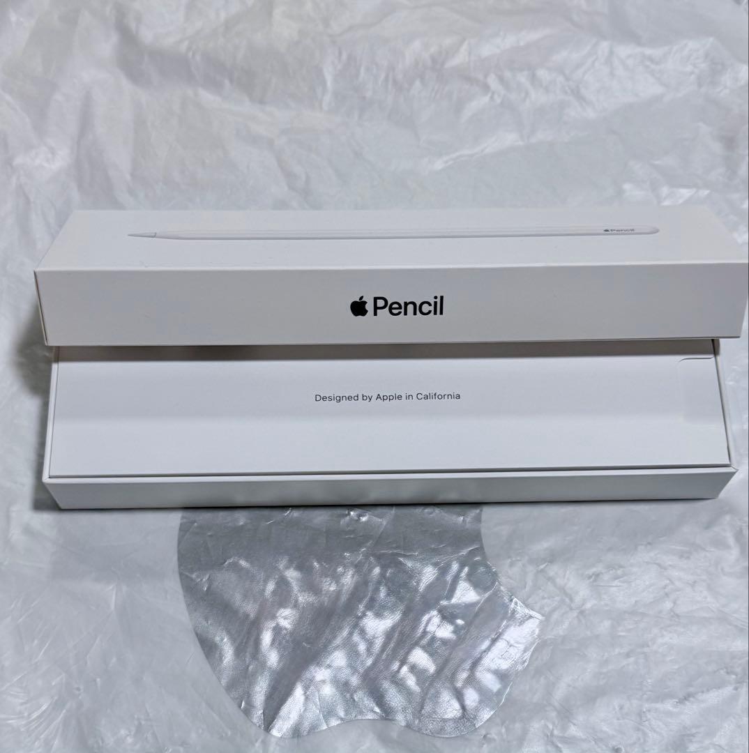 【未使用】iPad Pro 11インチ　第1世代　256GB