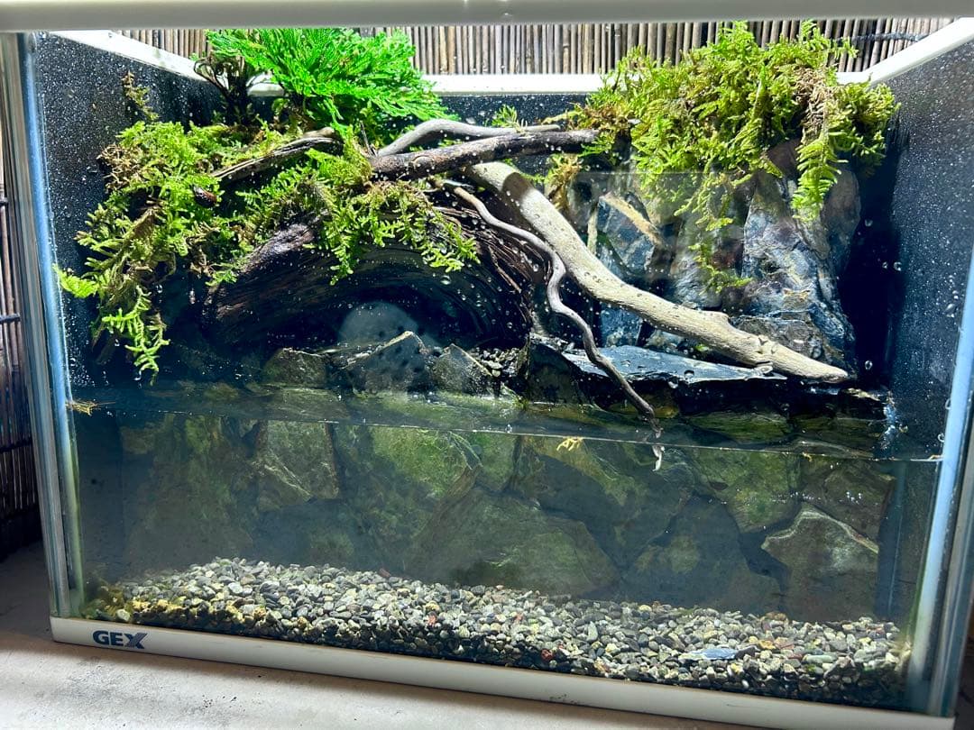 水の流れる滝テラリウム水槽　苔テラリウム