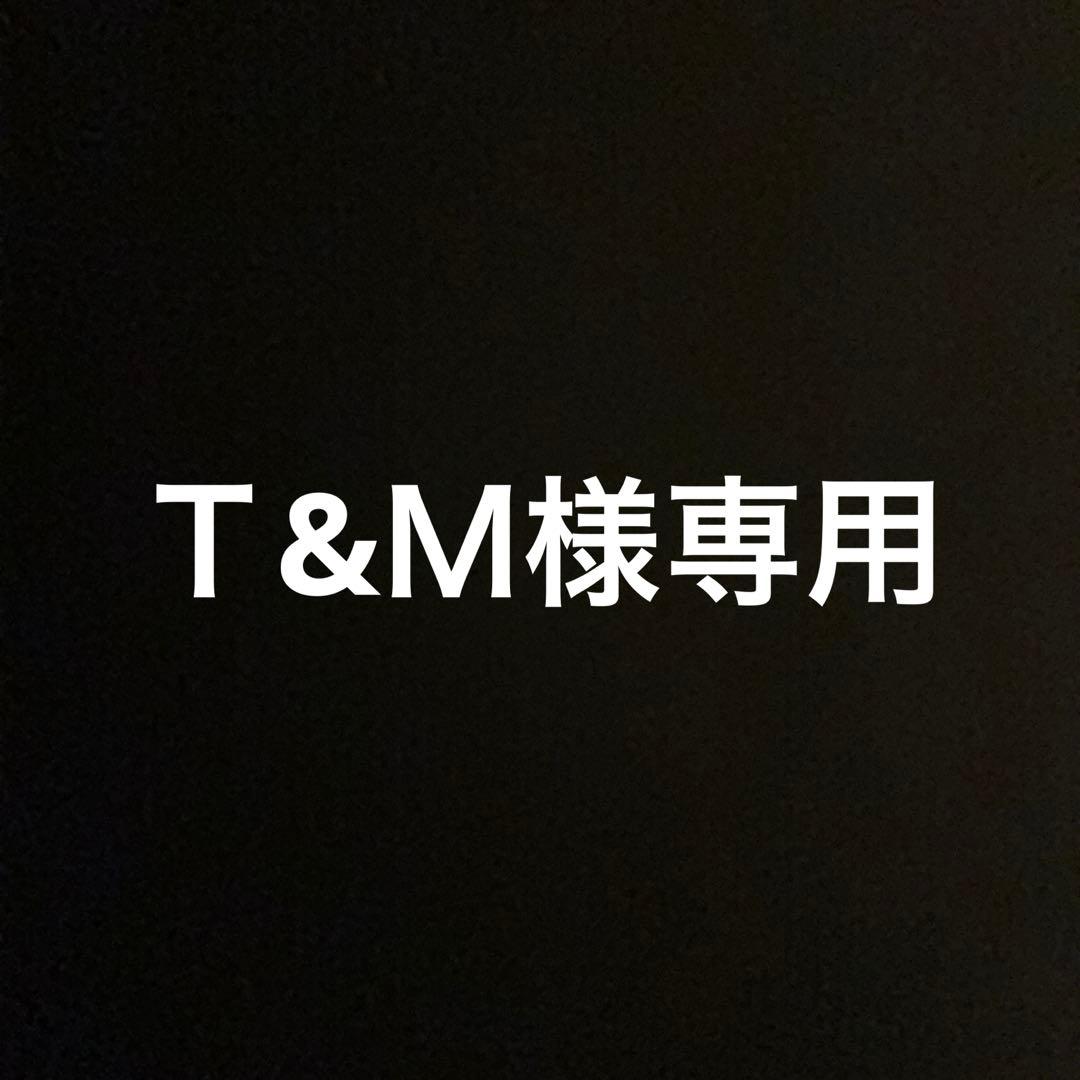 ★Ｔ&Ｍ★【一部未使用品】そいねーる3 そいねーるIII マットレス付