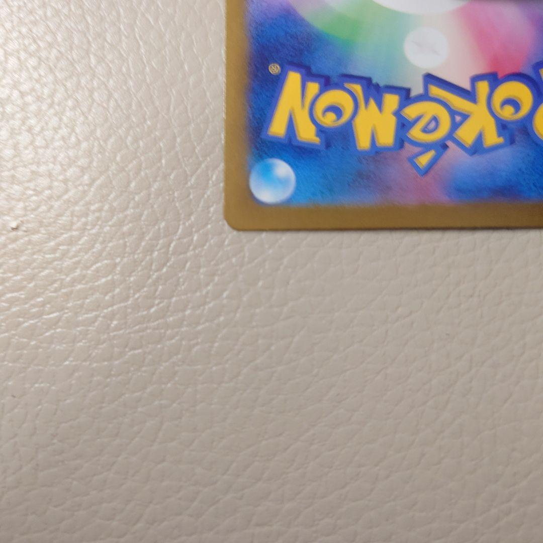 ゼイユ　SAR 自引き品