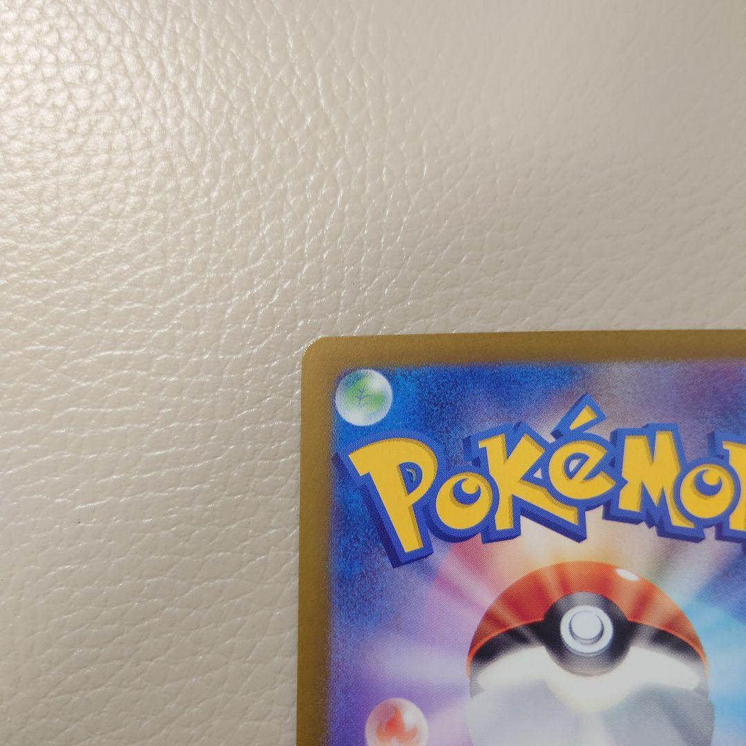 ゼイユ　SAR 自引き品