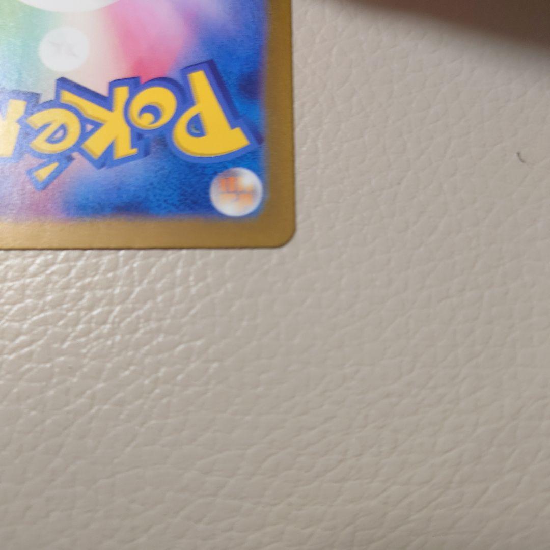 ゼイユ　SAR 自引き品