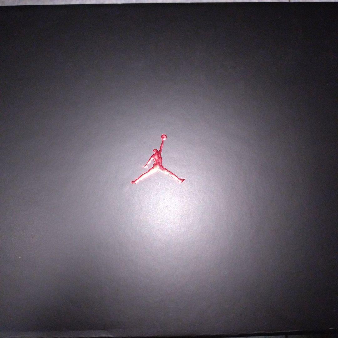 新品未使用　エア　ジョーダン　４０ ＰＦ　　　２８．５cm