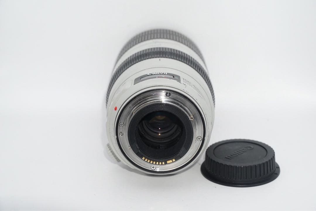 canon EF100-400mm IS Ⅱ