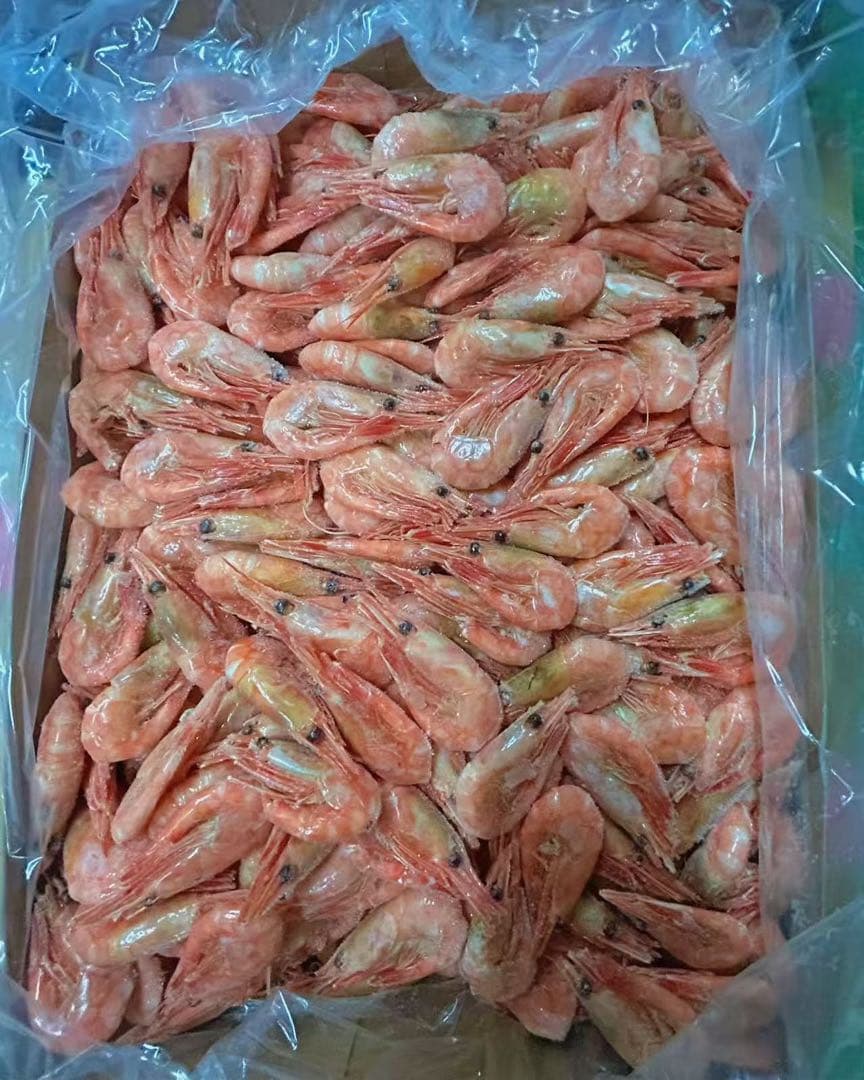 カナダ産甘エビ　5kg