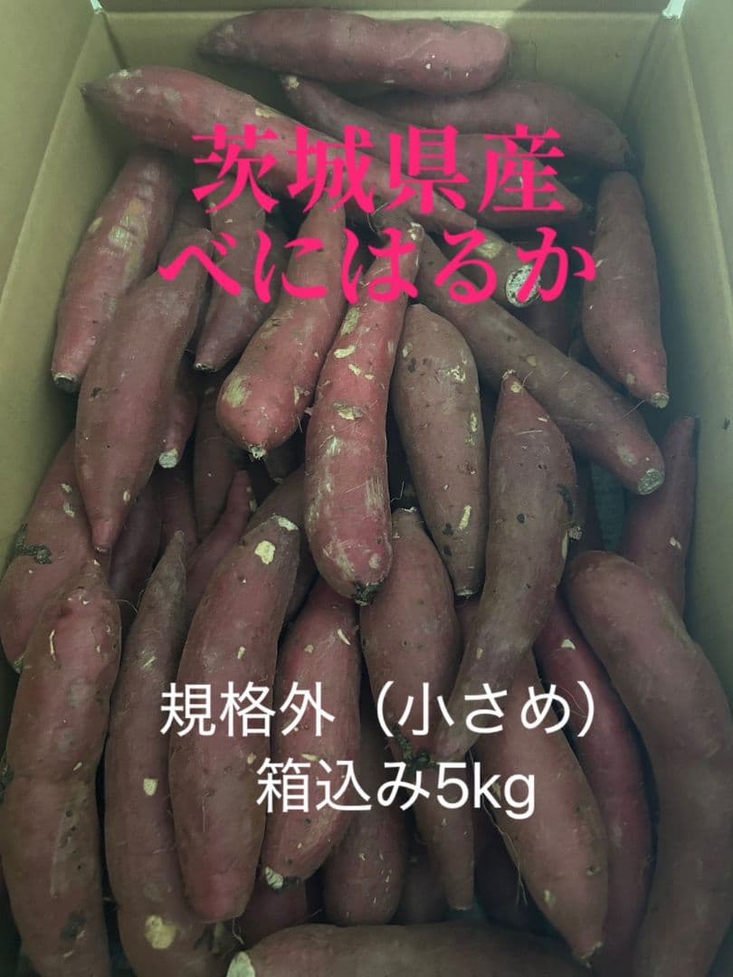 茨城県産 べにはるか 箱込み5kg 規格外
