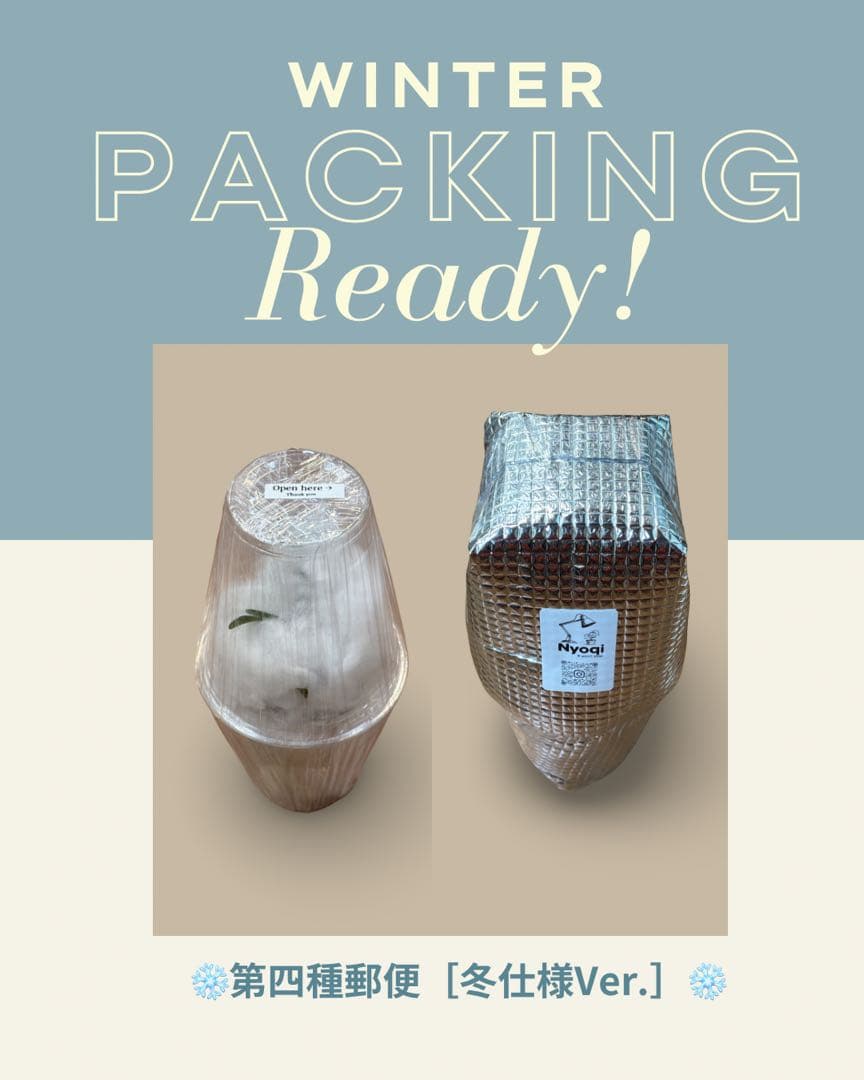 みかん　P. Willinckii Jenny #1 (TC)【36】速達