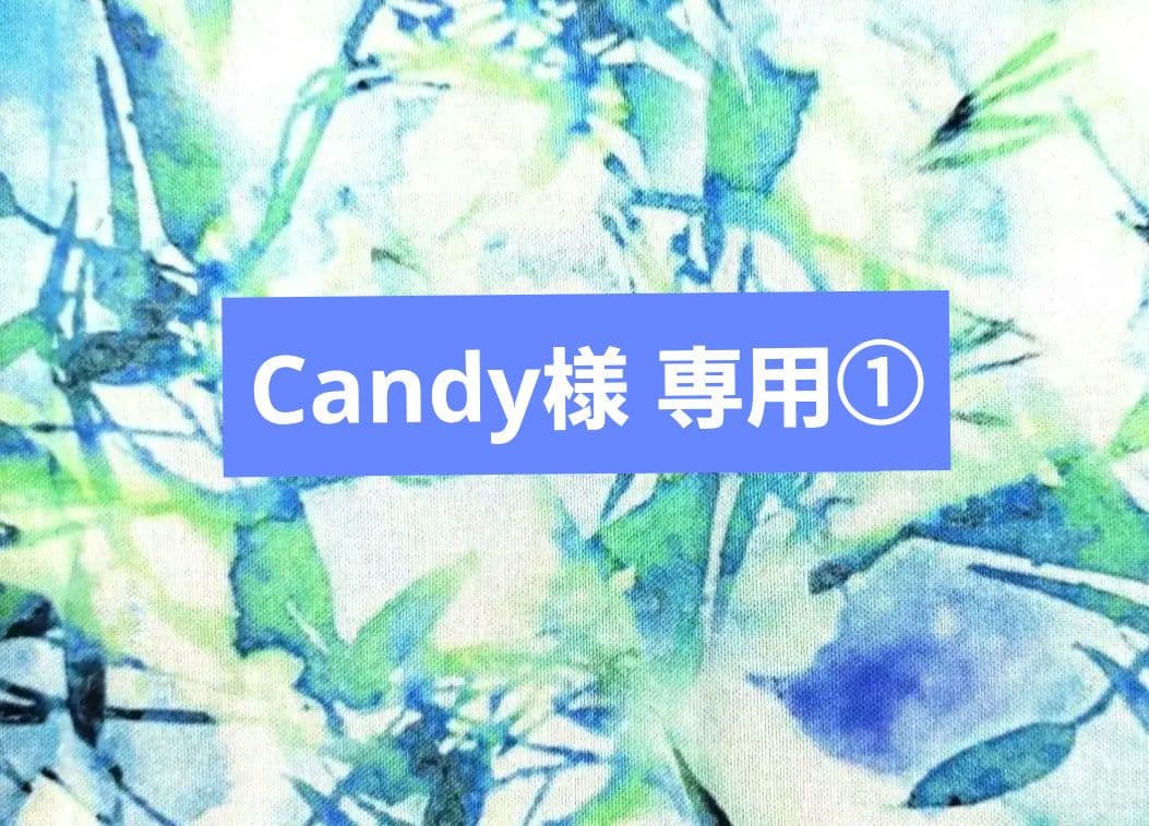 Candy①ポーチ、トートバッグ