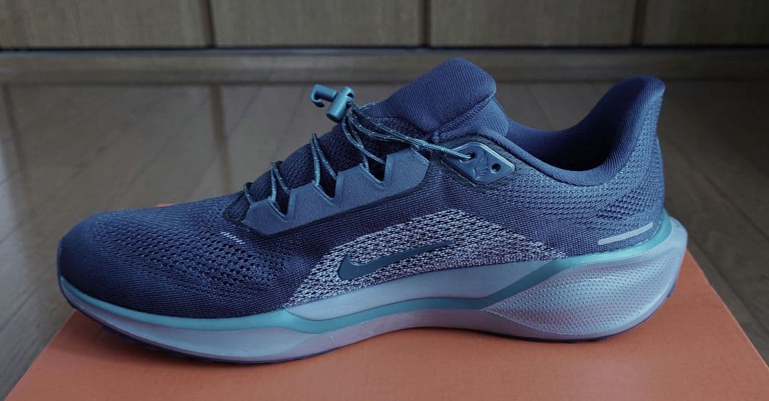 NIKE　メンズランニングシューズ　ペガサス 41 　28.5センチ