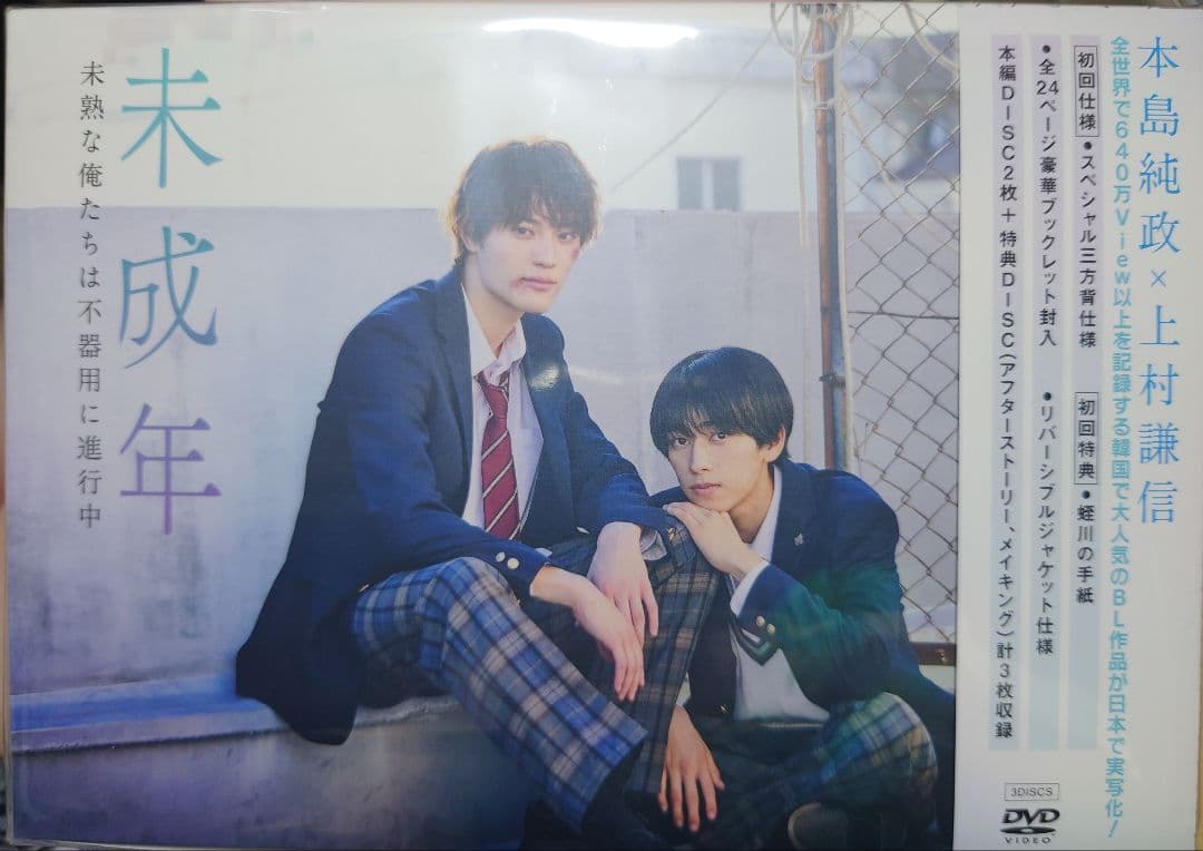 未成年~未熟な俺たちは不器用に進行中~ DVD BOX [DVD]