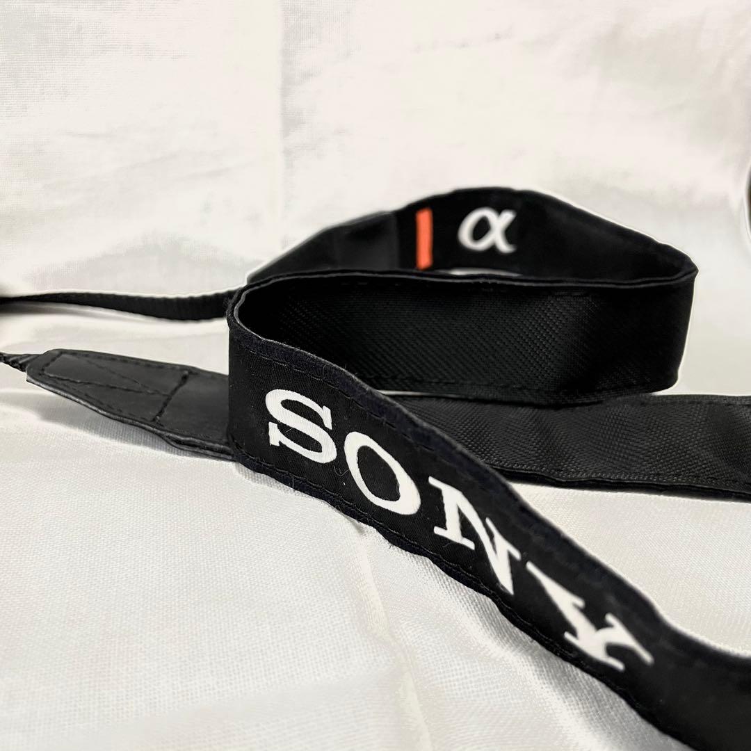 【美品】SONY α6400 シルバー(ショット数1278枚) 本体のみ