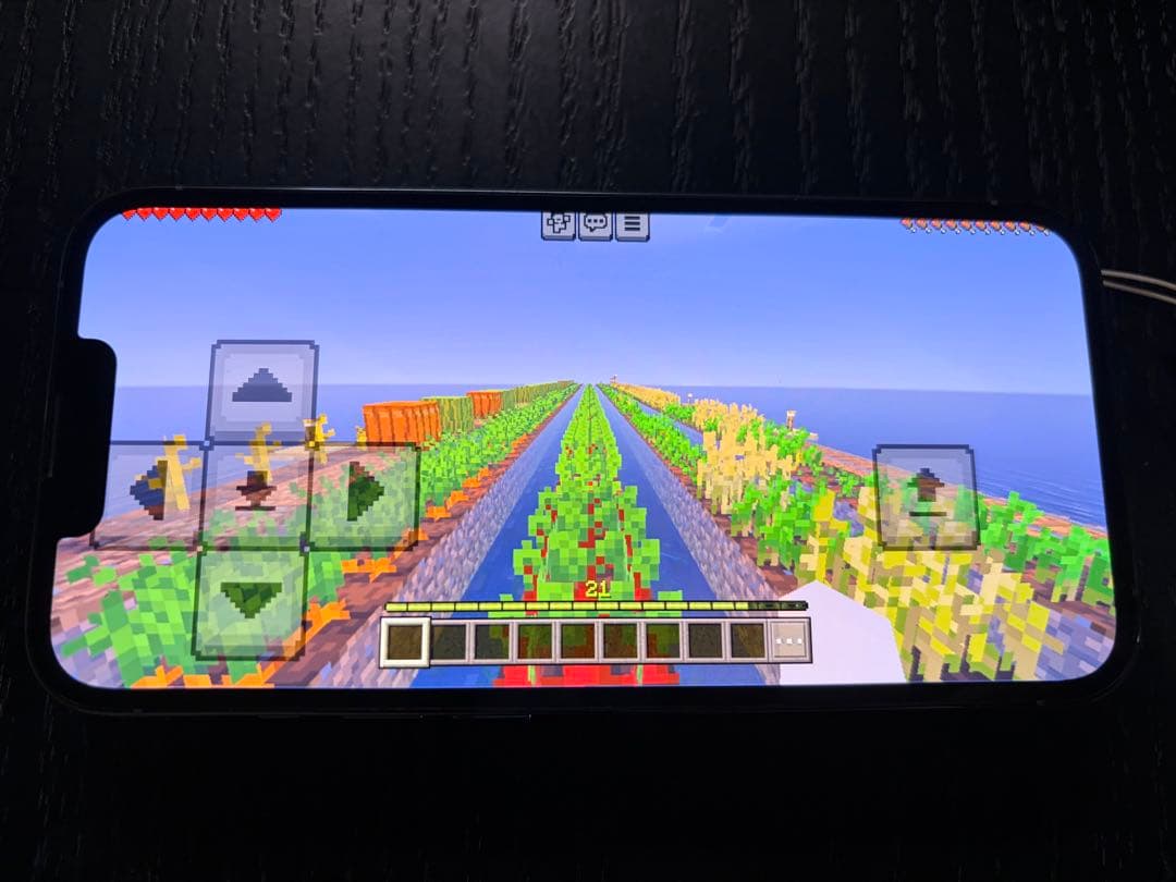 iPhone 13 Pro 512G（シエラブルー）本体