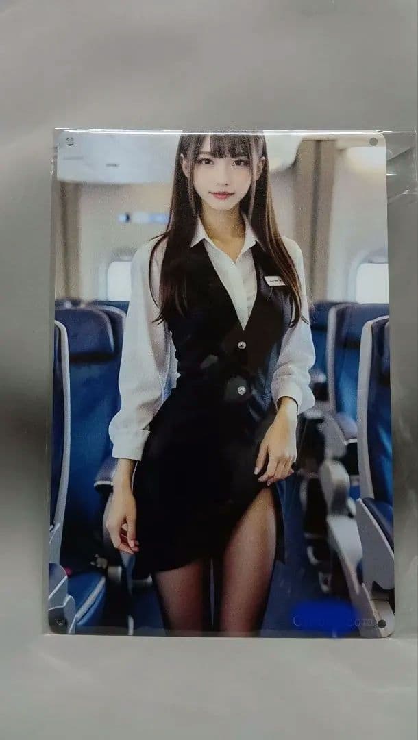 頭*L様 メタルポスター【ブリキ看板】CA 30cm×20cm