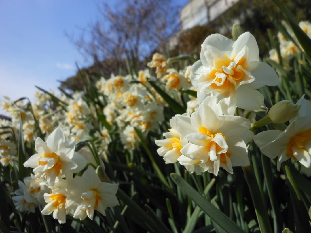 追加あり⭕️【動作確認済】Nikon COOLPIX S6100 ピンク