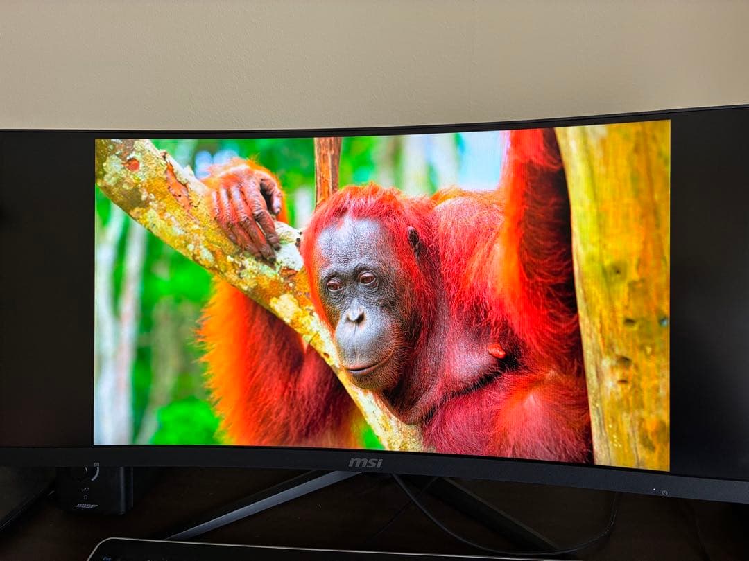 MSI Optix MAG301CR2本体