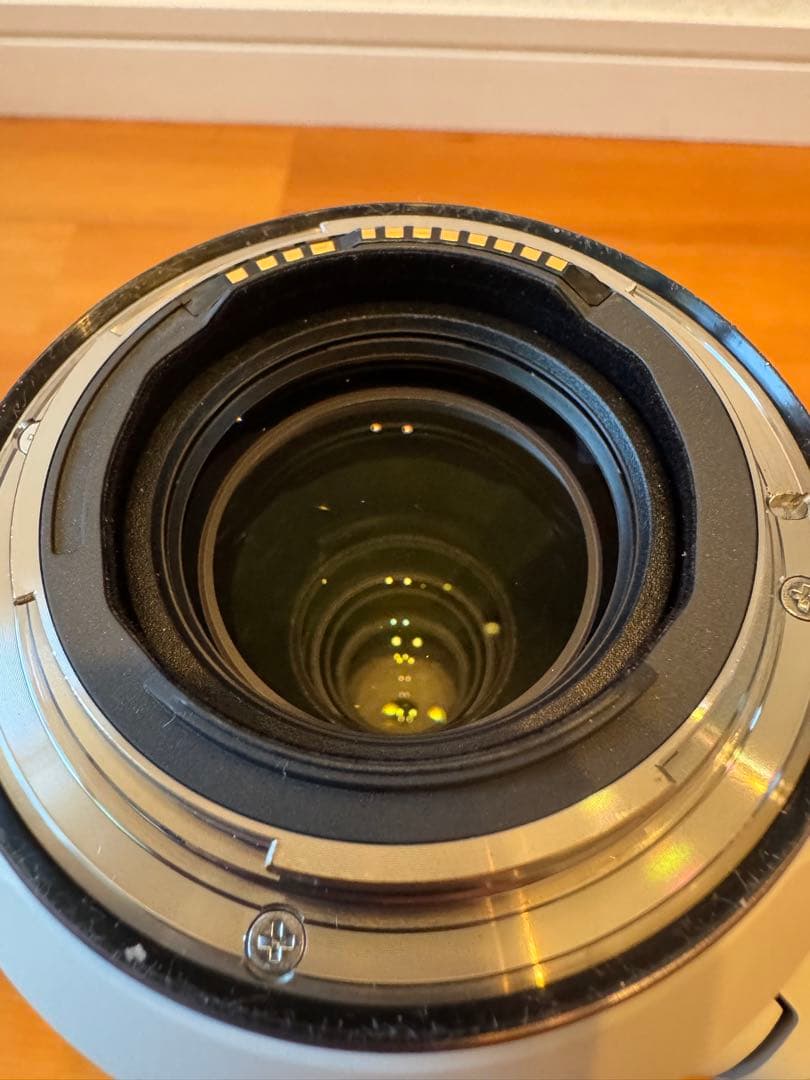 Canon RF100-500mm F4.5-7.1 L IS USM キャノン