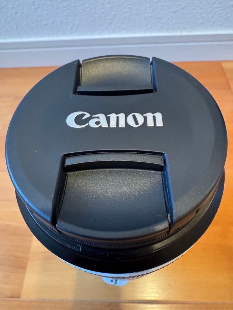 Canon RF100-500mm F4.5-7.1 L IS USM キャノン