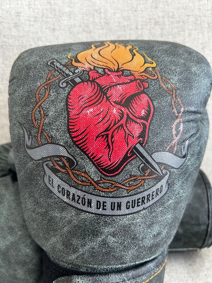 Fairtex フェアテックス グローブ 10 タイ現地正規店購入品