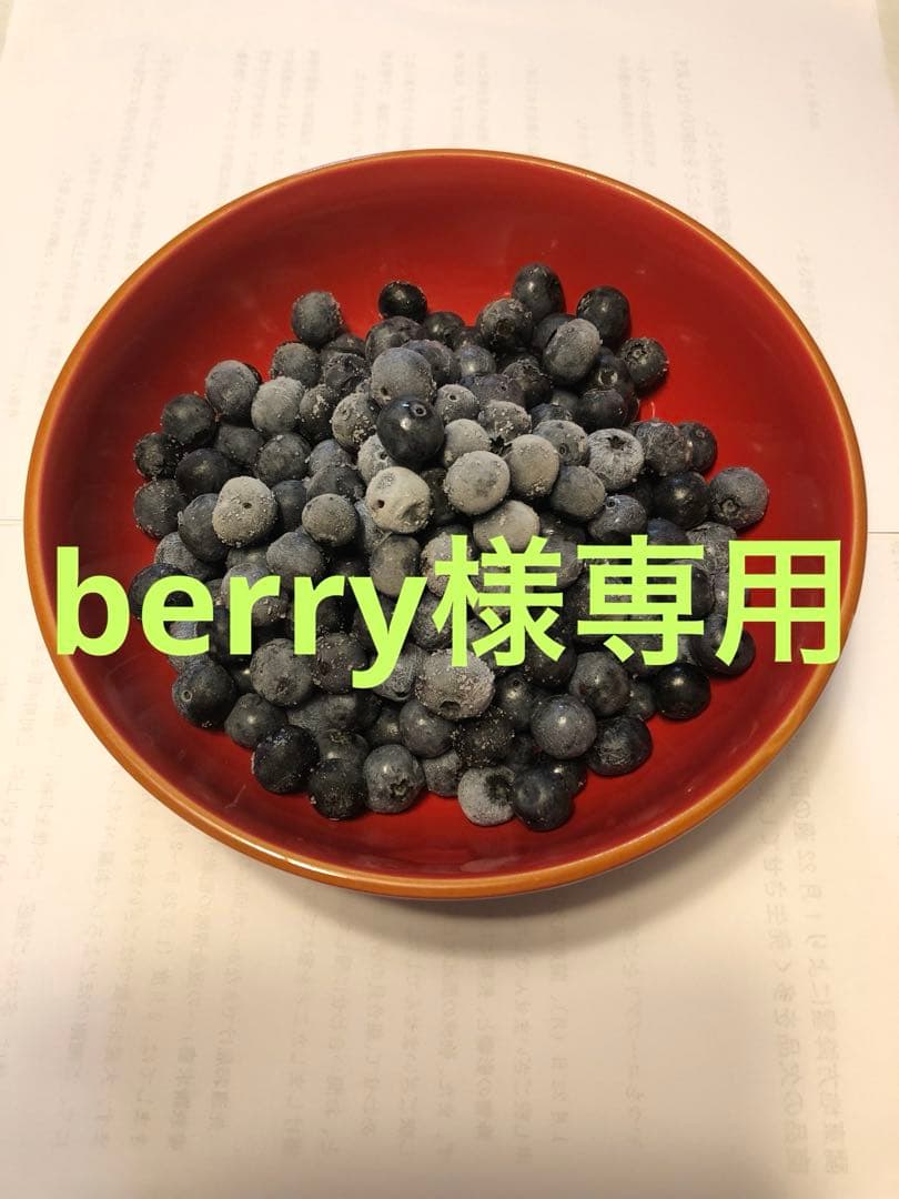 埼玉県産令和7年度冷凍ブルーベリー9キロ