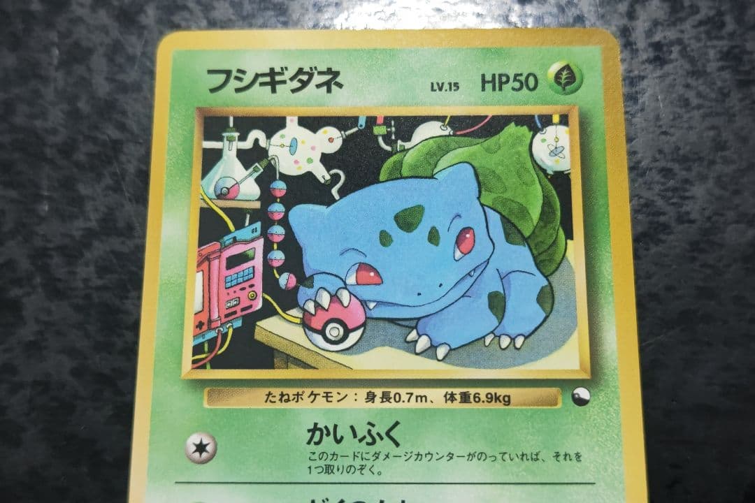 バイイー　ポケモンカード　フシギダネ　ニョロボン2枚