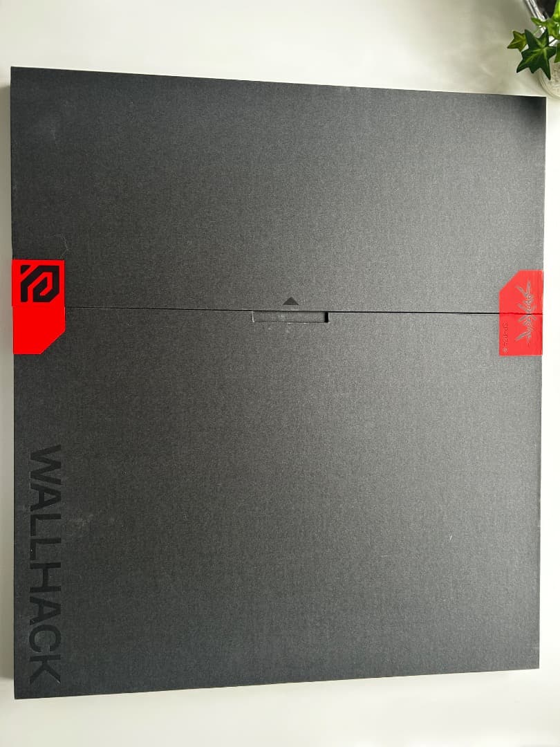 wallhack sp‐004 Frenzy Sora