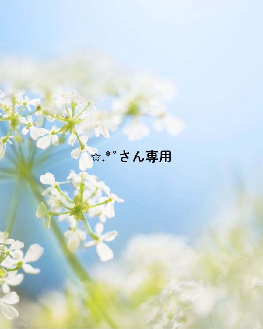 ☆.*°さん専用2点おまとめ