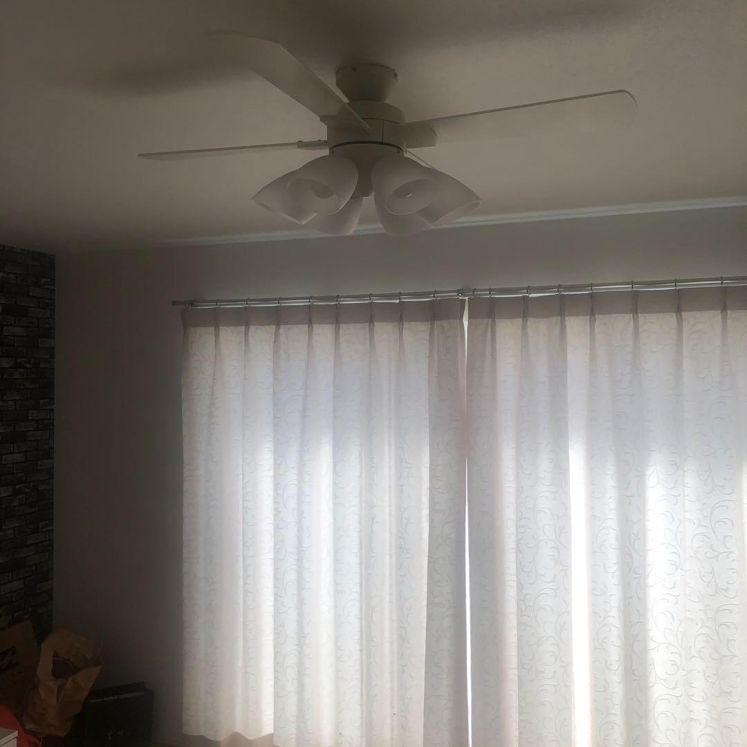 SIS シーリングファンライト プライウッド 42インチシーリングファン