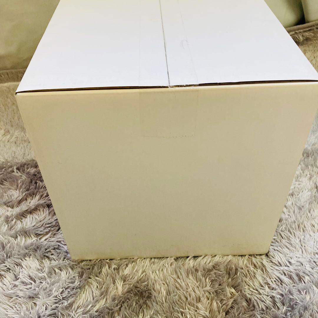 【新品未開封】リタライフ litalife 水素風呂入浴 老化酸化防止 ver1