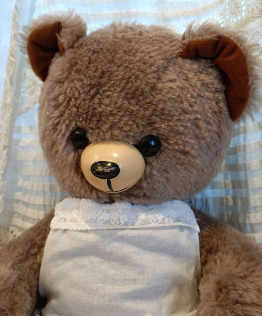 DDRベア ベルリンベア 36cm