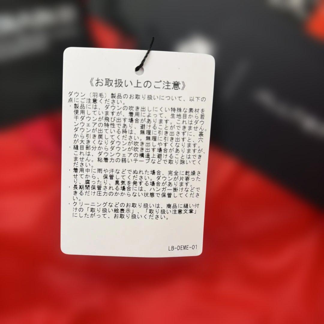 未使用　ALLTERRAIN 81 フード付きダウン