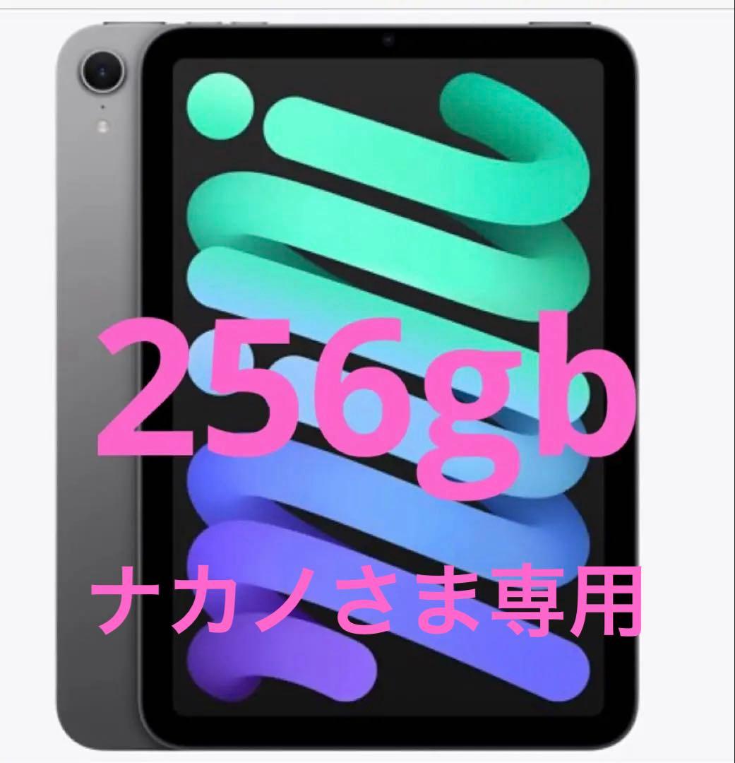 Apple iPad mini 第６世代 256gb スペースグレー 本体