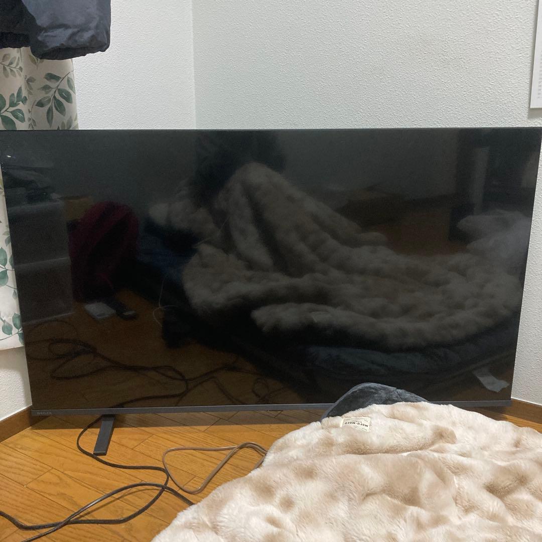 REGZA 55E350R 55インチ液晶テレビ 2025年式