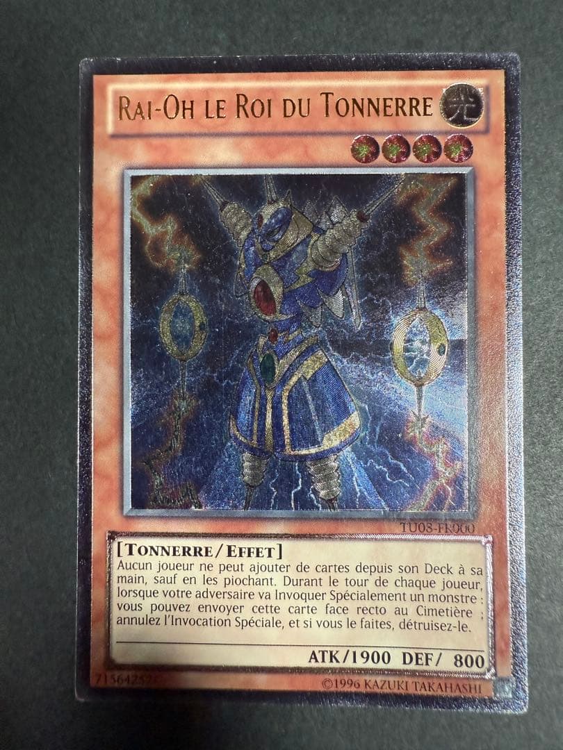 ライオウ　レリーフ　EUフランス