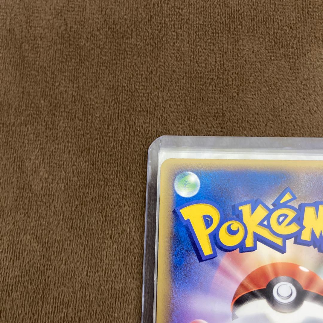 早い者勝ち!!!ポケモンカード ポケパークのピカチュウ 004/009