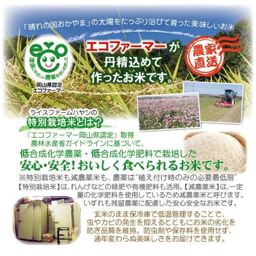 令和7年産 希少米 緑肥＆有機肥料 特別栽培米【朝日】10キロ