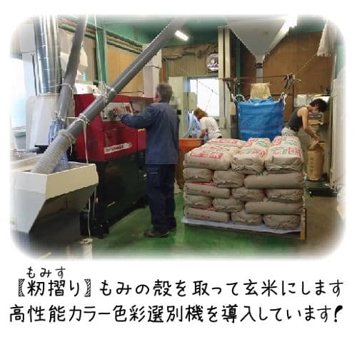 令和7年産 希少米 緑肥＆有機肥料 特別栽培米【朝日】10キロ