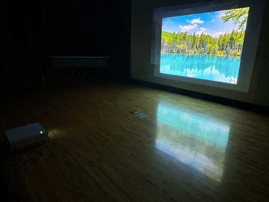 CanonプロジェクターWUX450 純正ケース•リモコン付き