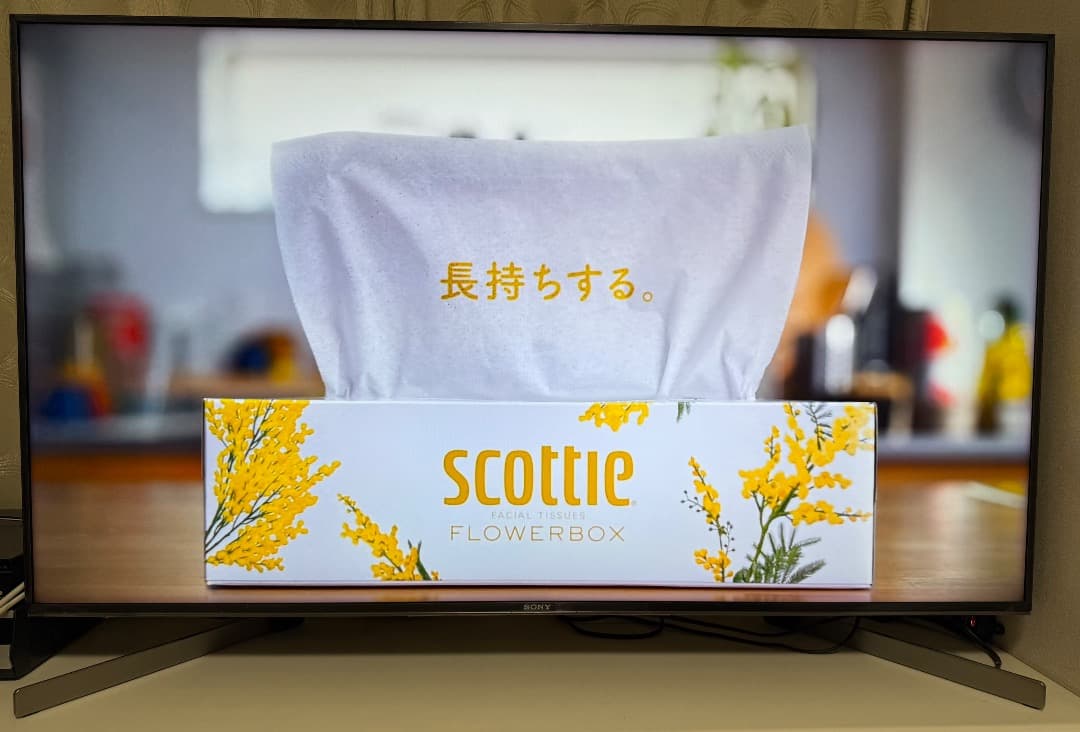 値下げ　6年使用も美品　SONY BRAVIA KJ -49X9500G