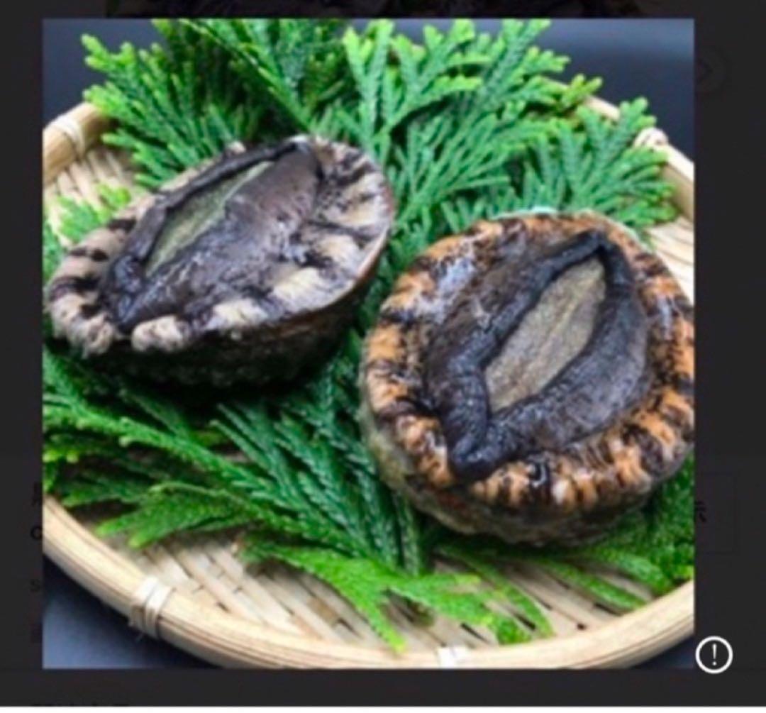 ゆ*ん様 ⭐️超特大黒アワビ１個⭐️１個約400/500g。