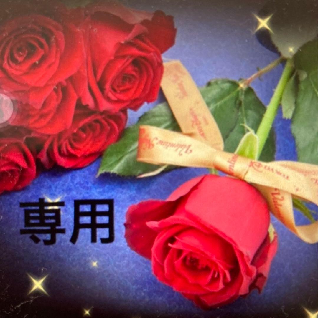 トマト　スキーセット