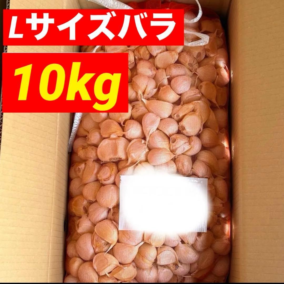【数量限定】青森県産 にんにく Lバラ10kg 福地ホワイト 黒にんにく加工