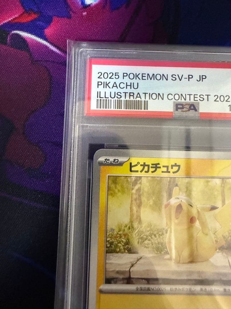 【PSA10】ピカチュウSV-P242 イラストレーションコンテスト②