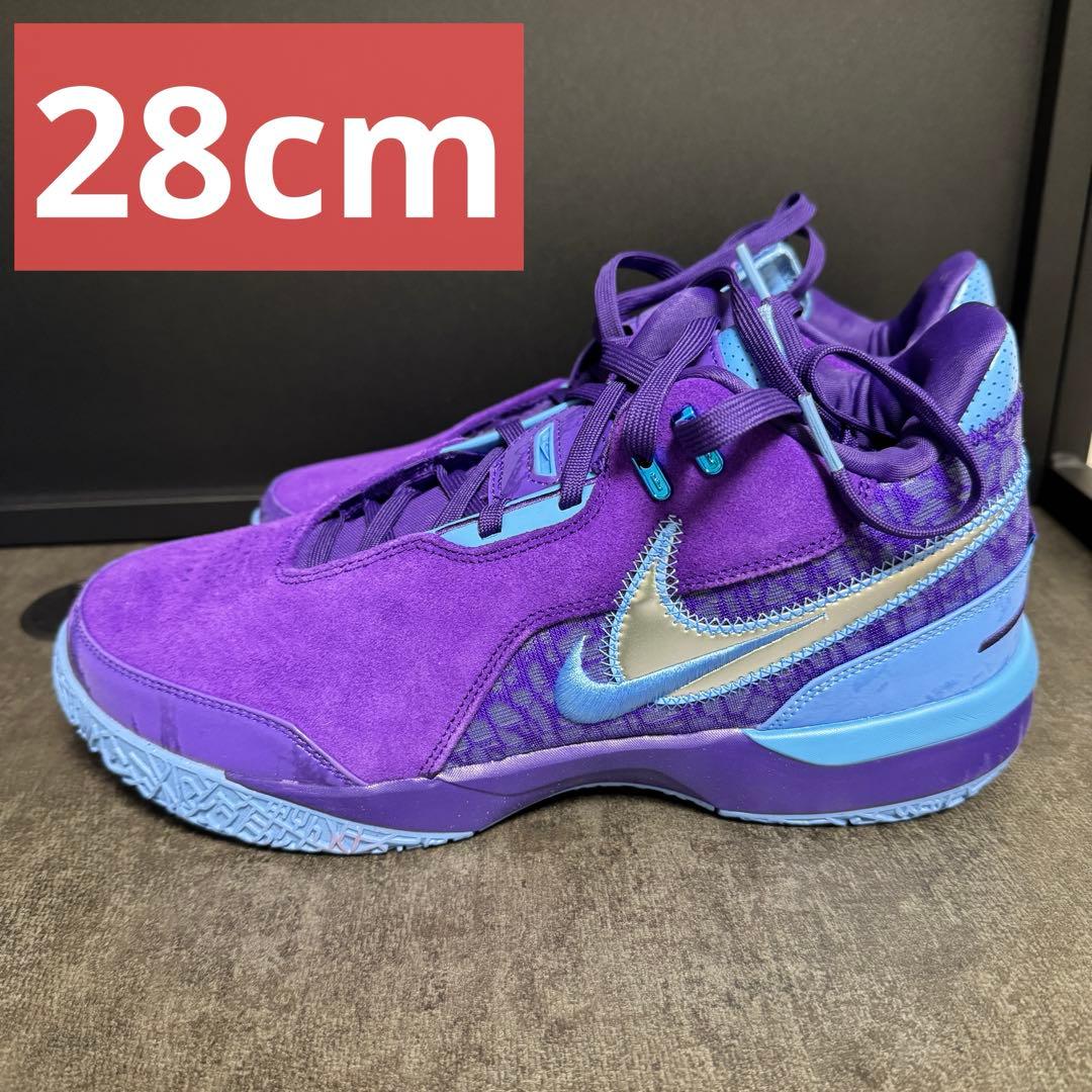 NIKE ZM LEBRON NXXT GEN AMPD バスケ シューズ 28