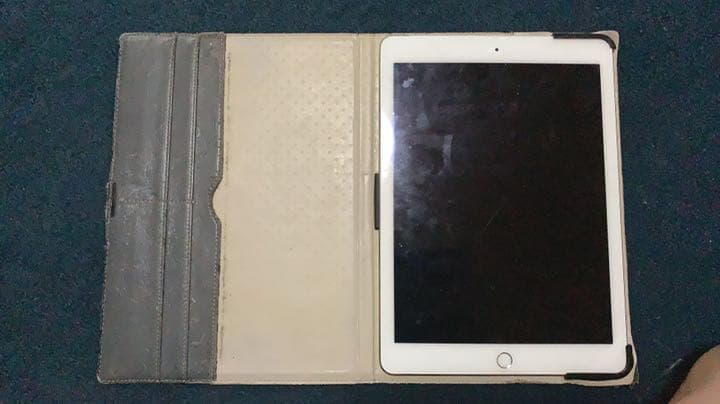 ディスプレイ・モニター本体 iPad AiR2