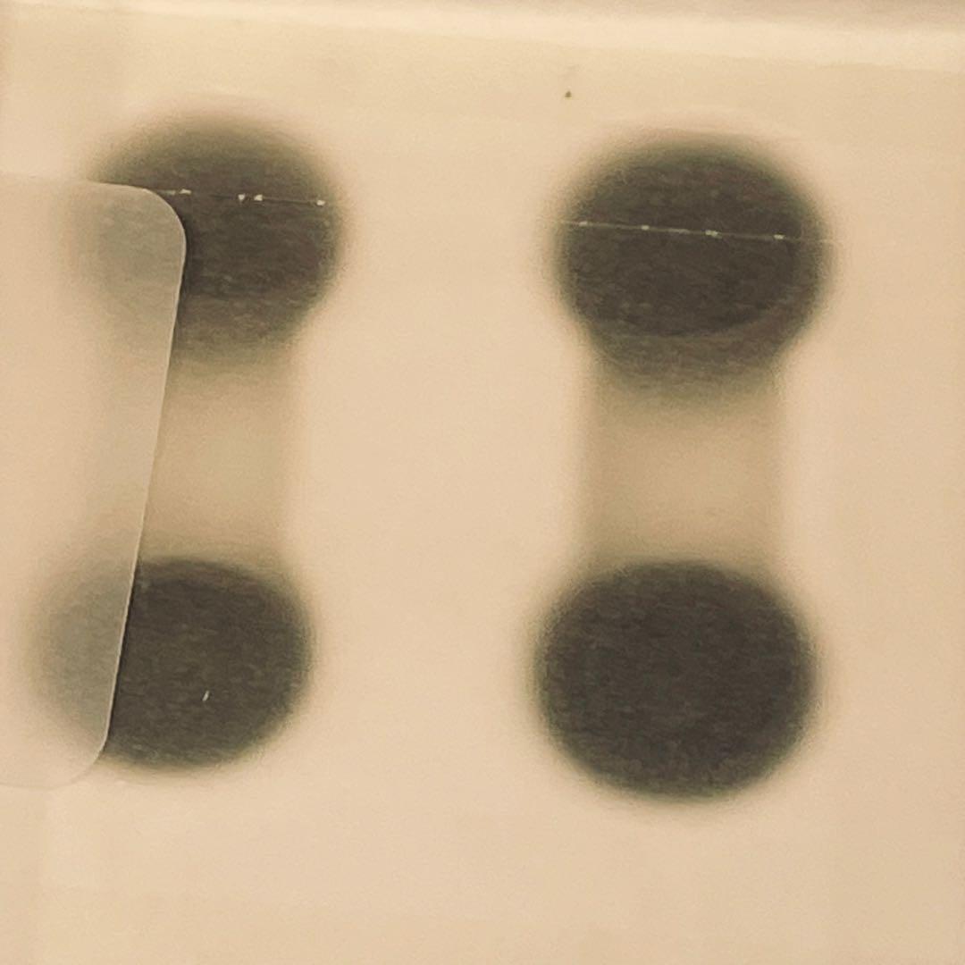 ◆新品未使用◆Anker Soundcore Liberty 4 NC